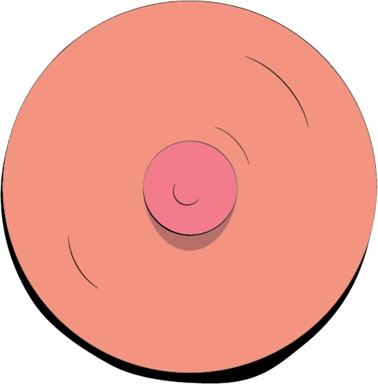 What's The Difference Between Nipples And Areolas?